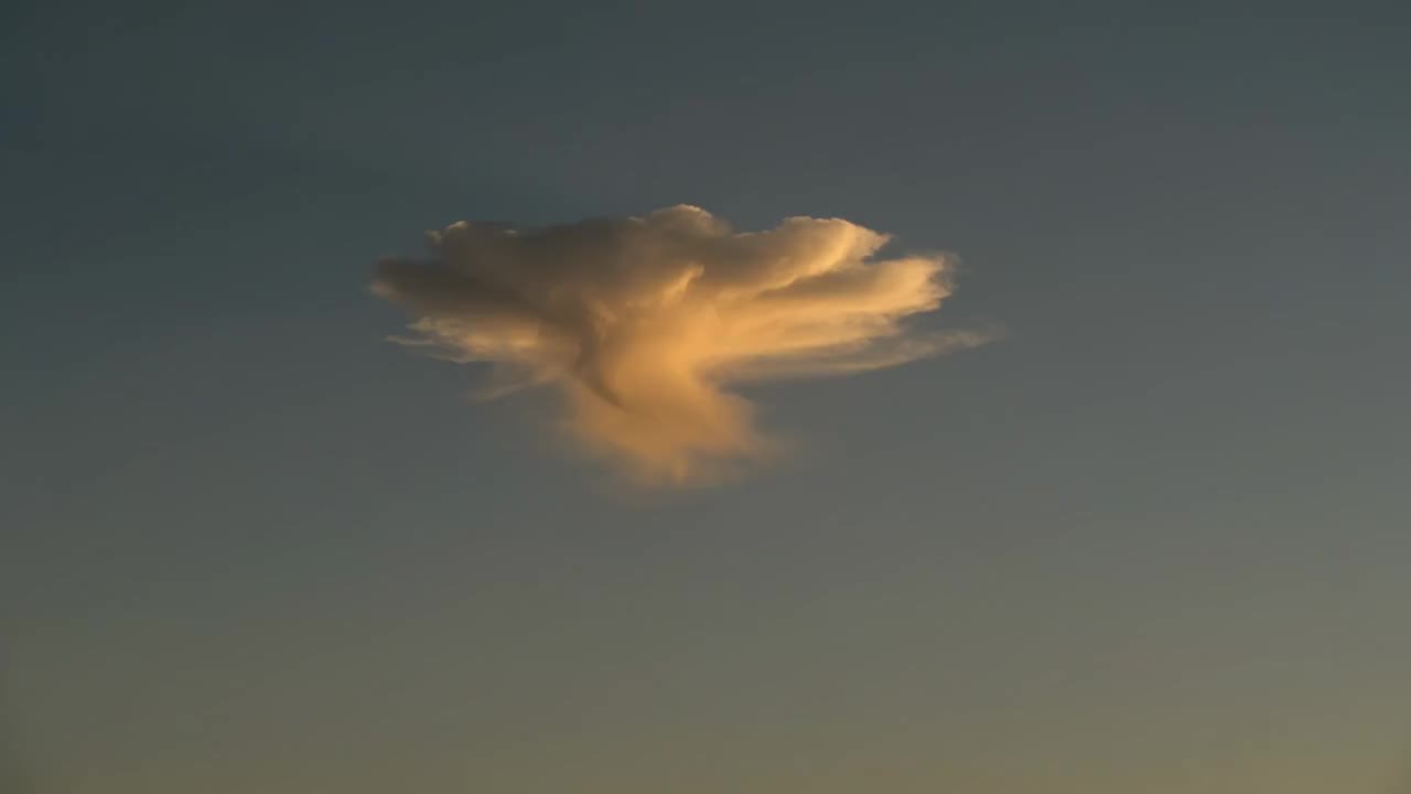 August 2011, The Long Gold